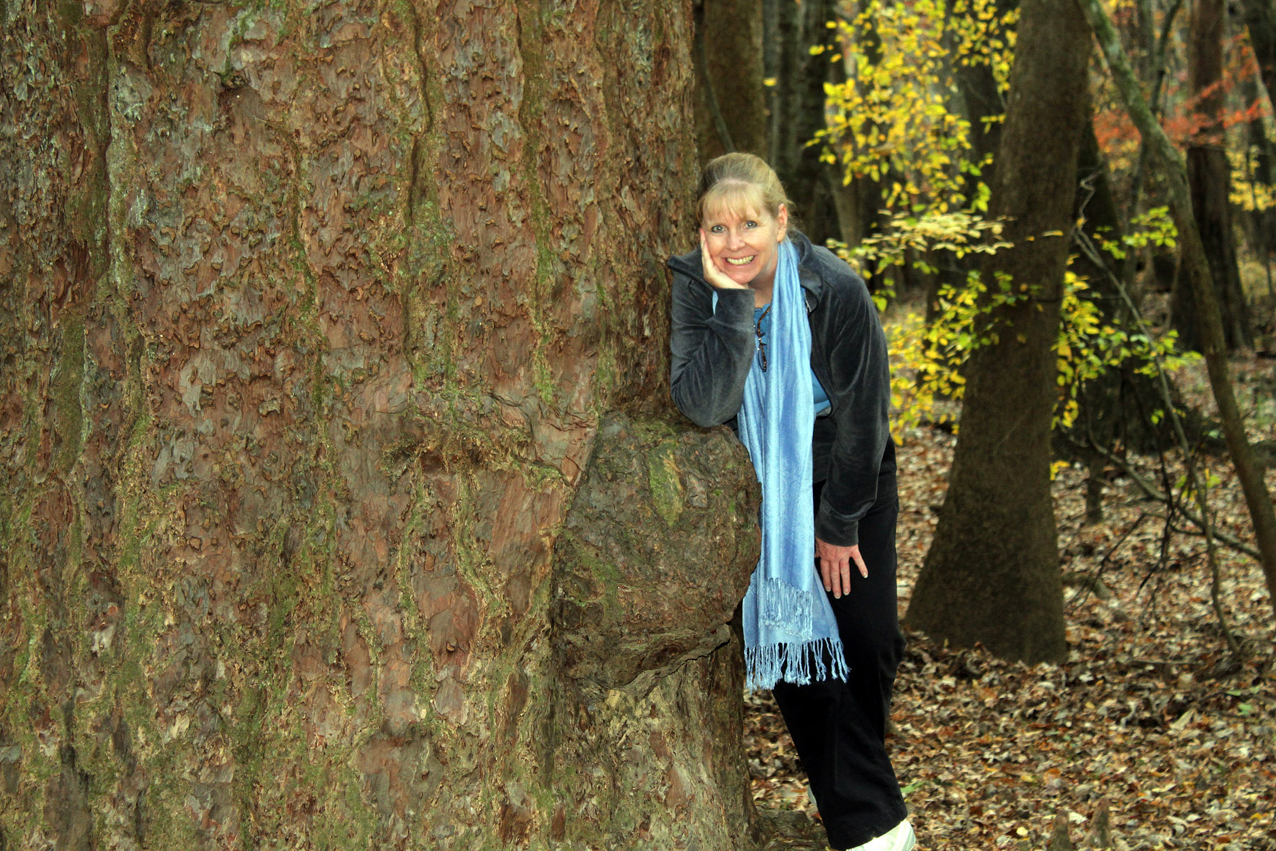 Deb-tree-for-flyers-web